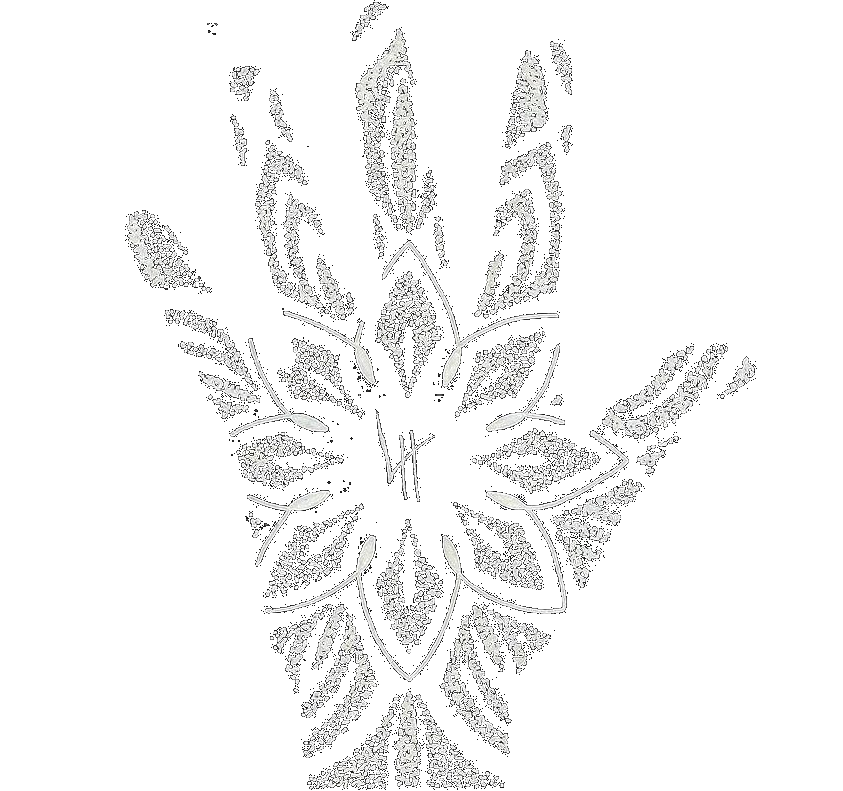 Light Hand Arts Home Page